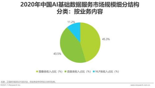 2021年中國(guó)人工智能基礎(chǔ)層行業(yè)研究報(bào)告 基礎(chǔ)軟件開發(fā)篇