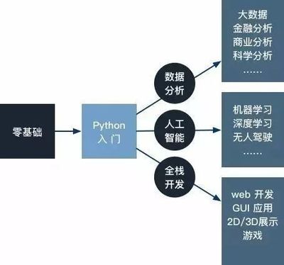 當(dāng)你只有一門語言 Python驅(qū)動(dòng)人工智能基礎(chǔ)軟件開發(fā)的深度路徑