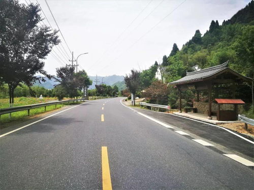 臨安公路榮膺省級綠化美化精品道路，橋梁藝術(shù)融入生態(tài)長廊